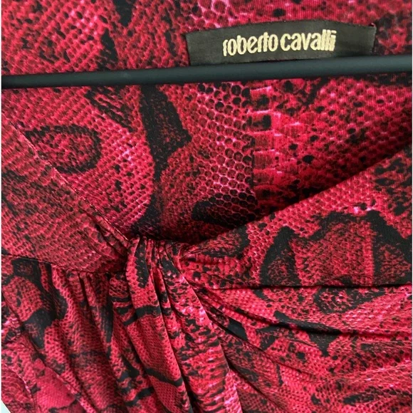 ROBERTO CAVALLI Long Sleeve Black and Red Snake Print Dress Size 6 - Picture 5 of 5